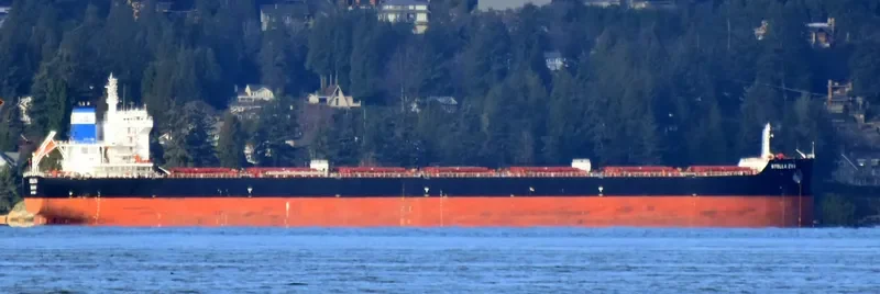 CL SINGAPORE Bulk Carrier IMO 9716028 photo 9
