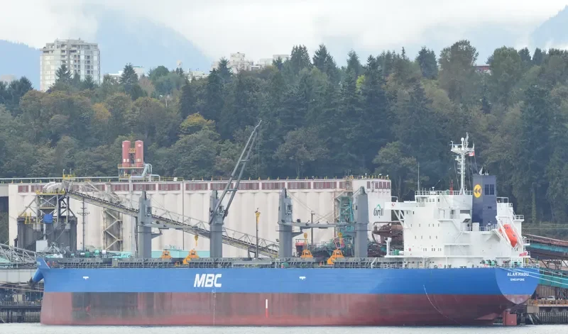 ALAM MADU Bulk Carrier IMO 9717060 photo 2