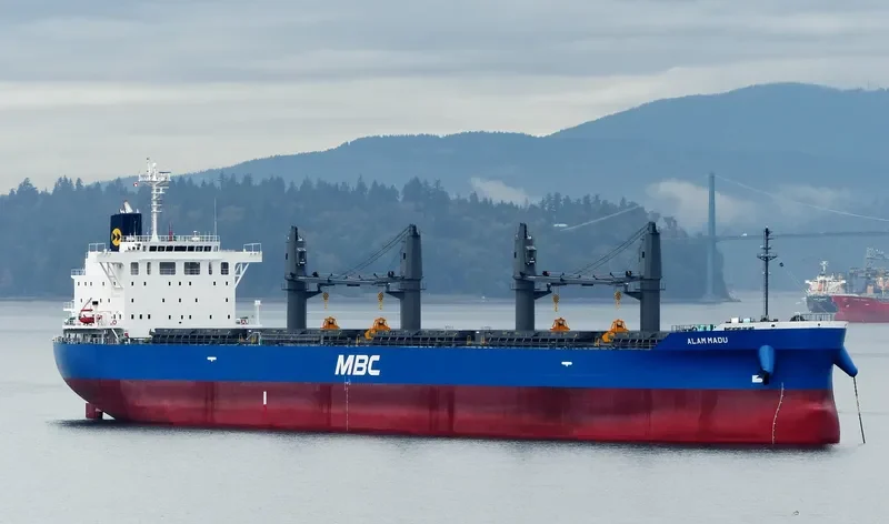 ALAM MADU Bulk Carrier IMO 9717060 photo 3