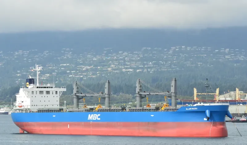 ALAM MADU Bulk Carrier IMO 9717060 photo 4