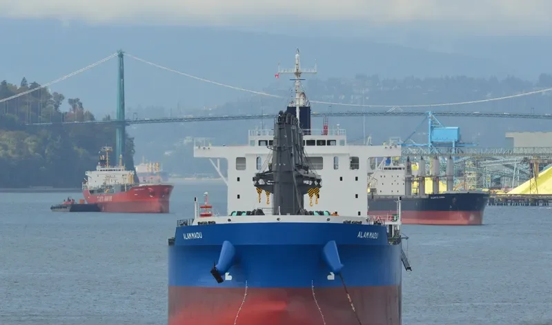 ALAM MADU Bulk Carrier IMO 9717060 photo 5