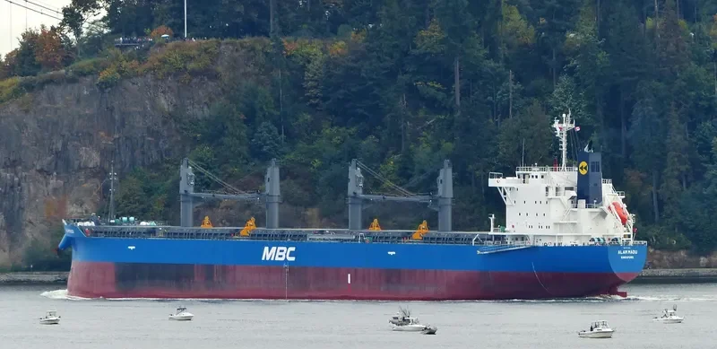 ALAM MADU Bulk Carrier IMO 9717060 photo 6