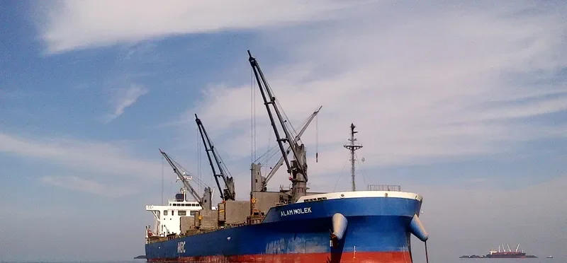 ALAM MOLEK Bulk Carrier IMO 9717072 photo 2
