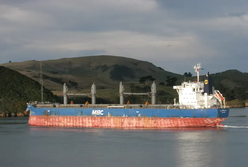 ALAM MOLEK Bulk Carrier IMO 9717072 photo 5