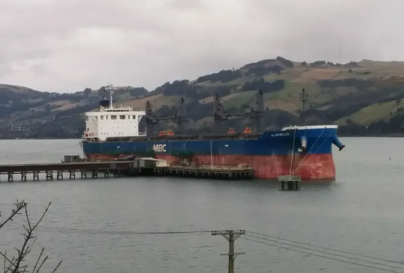 ALAM MOLEK Bulk Carrier IMO 9717072 photo 9