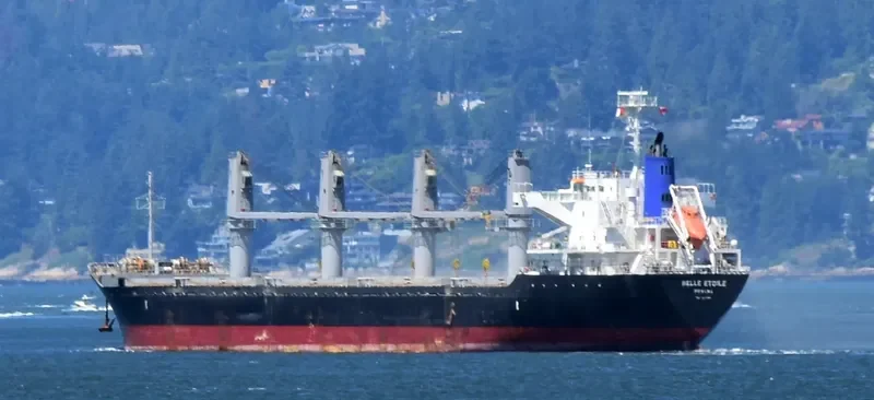 BELLE ETOILE Bulk Carrier IMO 9717254