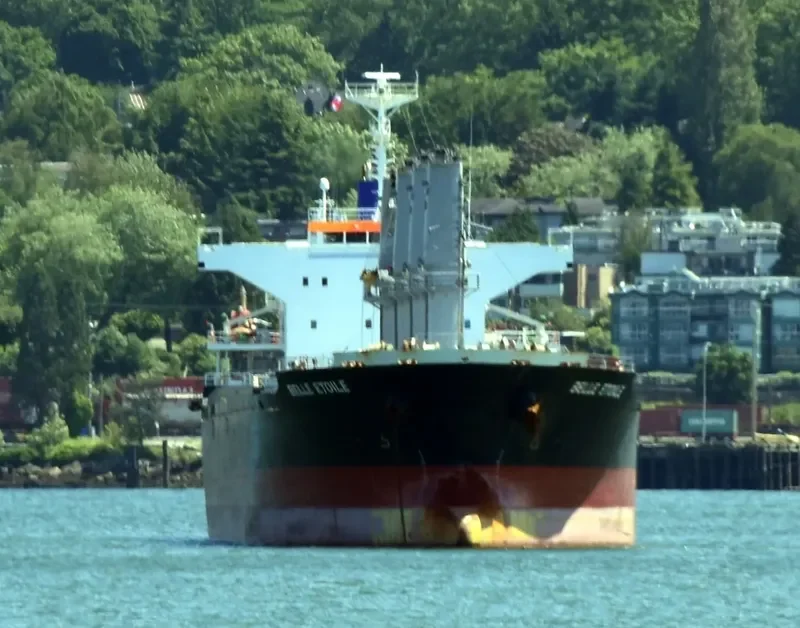 BELLE ETOILE Bulk Carrier IMO 9717254 photo 2