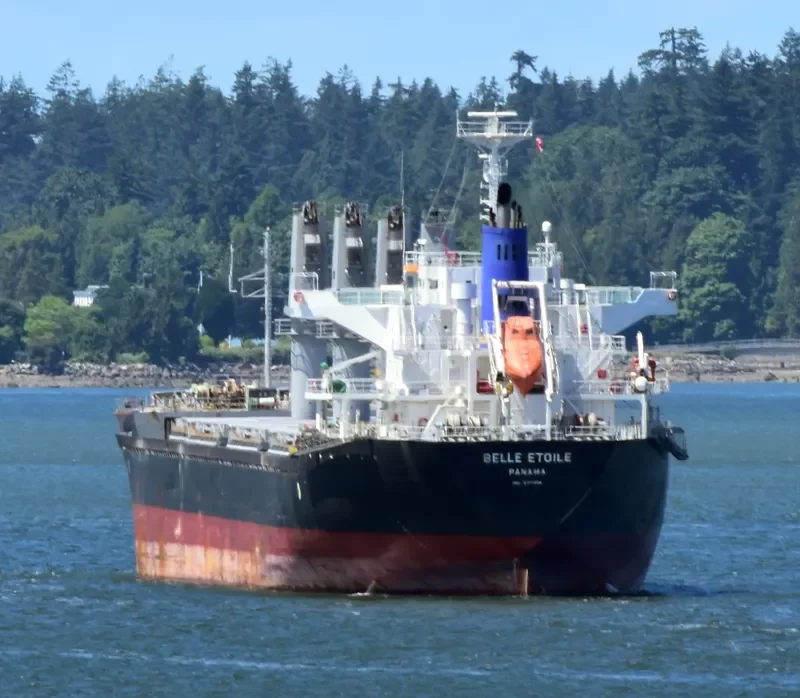 BELLE ETOILE Bulk Carrier IMO 9717254 photo 3