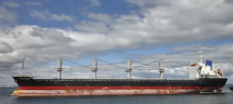 BELLE ETOILE Bulk Carrier IMO 9717254 photo 5