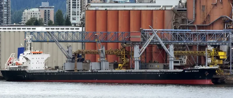 BELLE ETOILE Bulk Carrier IMO 9717254 photo 7