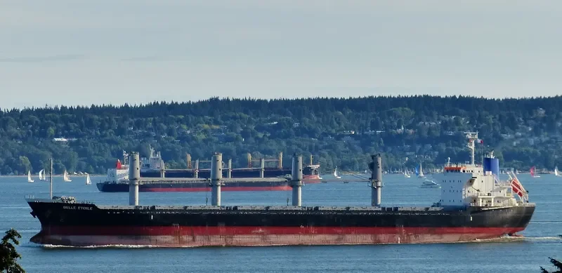 BELLE ETOILE Bulk Carrier IMO 9717254 photo 8