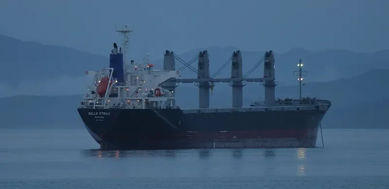 BELLE ETOILE Bulk Carrier IMO 9717254 photo 9