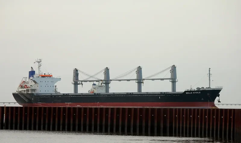 BELLE ETOILE Bulk Carrier IMO 9717254 photo 10