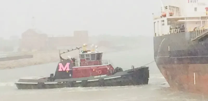 HAYLEY MORAN General Cargo IMO 9717321