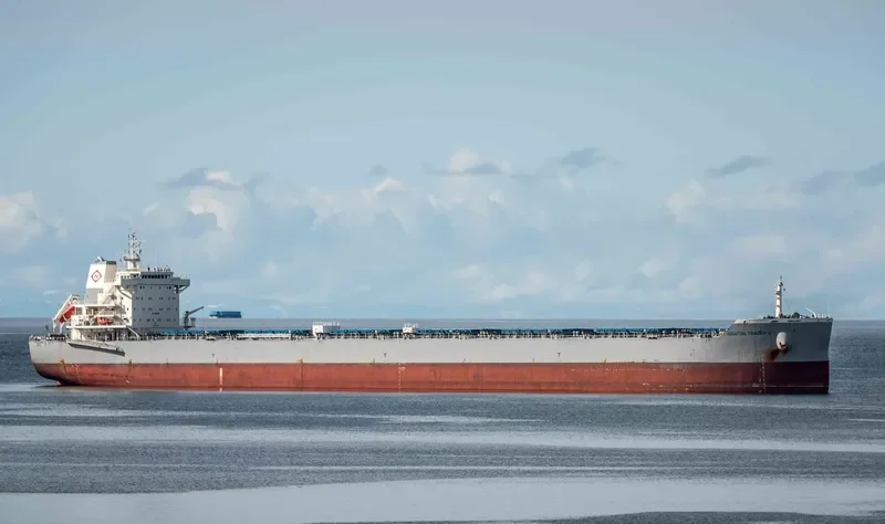 EXPLORER OCEANIA Bulk Carrier IMO 9717333