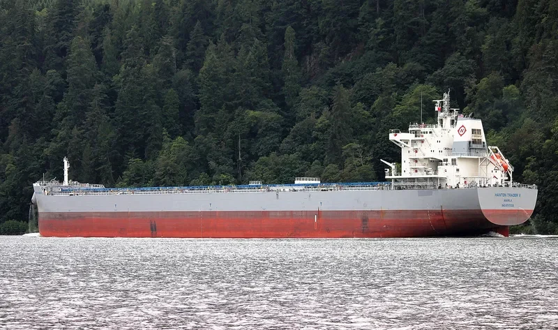 EXPLORER OCEANIA Bulk Carrier IMO 9717333 photo 7