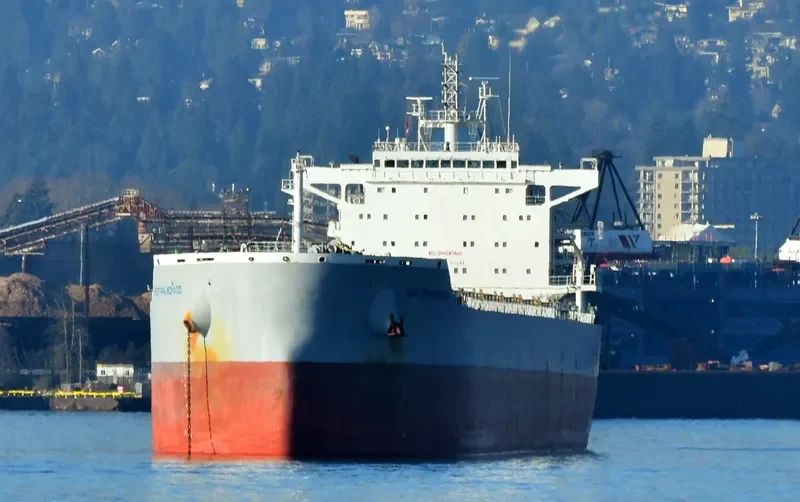 WESTERN MONACO Bulk Carrier IMO 9717345 photo 2