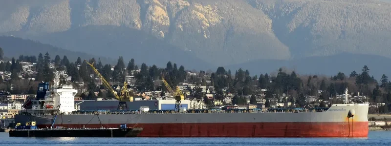 WESTERN MONACO Bulk Carrier IMO 9717345 photo 3
