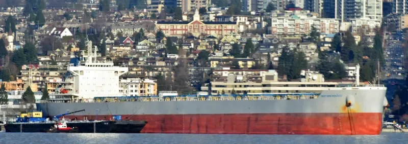 WESTERN MONACO Bulk Carrier IMO 9717345 photo 4