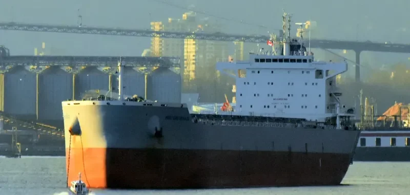 WESTERN MONACO Bulk Carrier IMO 9717345 photo 5