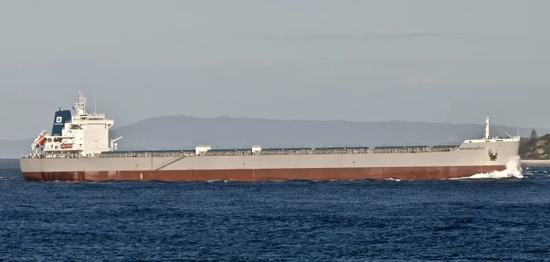 WESTERN MONACO Bulk Carrier IMO 9717345 photo 8