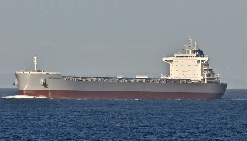 WESTERN MONACO Bulk Carrier IMO 9717345 photo 10