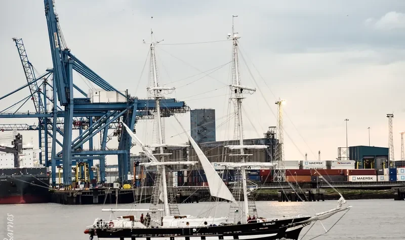TS ROYALIST General Cargo IMO 9717369 photo 4