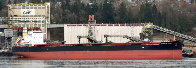 KYPROS SPIRIT Bulk Carrier IMO 9717436 photo 8