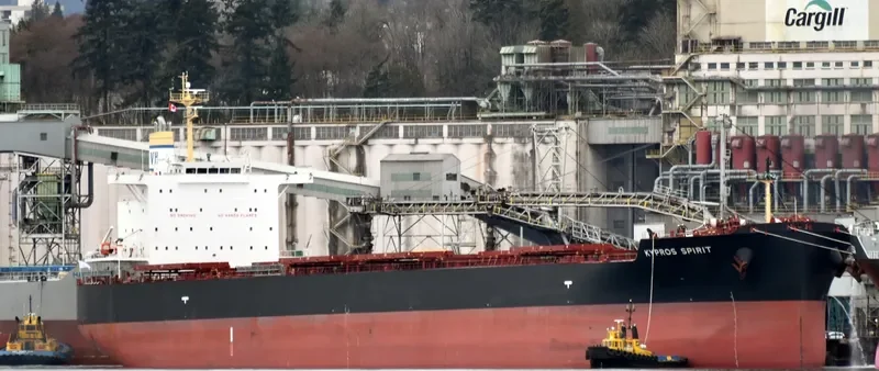 KYPROS SPIRIT Bulk Carrier IMO 9717436 photo 9