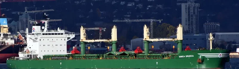 SINICA GRAECA Bulk Carrier IMO 9717486 photo 3