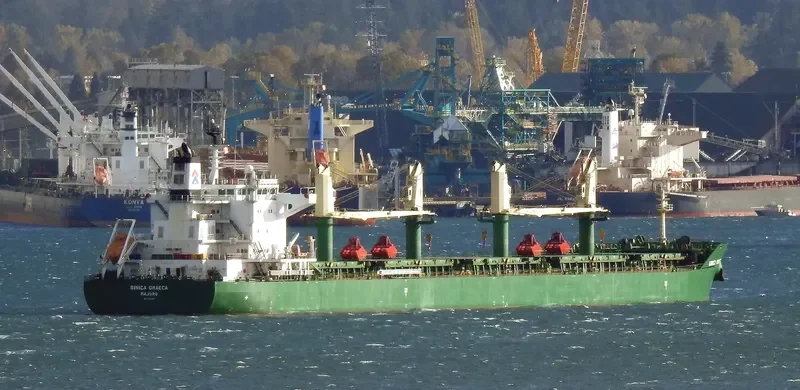 SINICA GRAECA Bulk Carrier IMO 9717486 photo 6