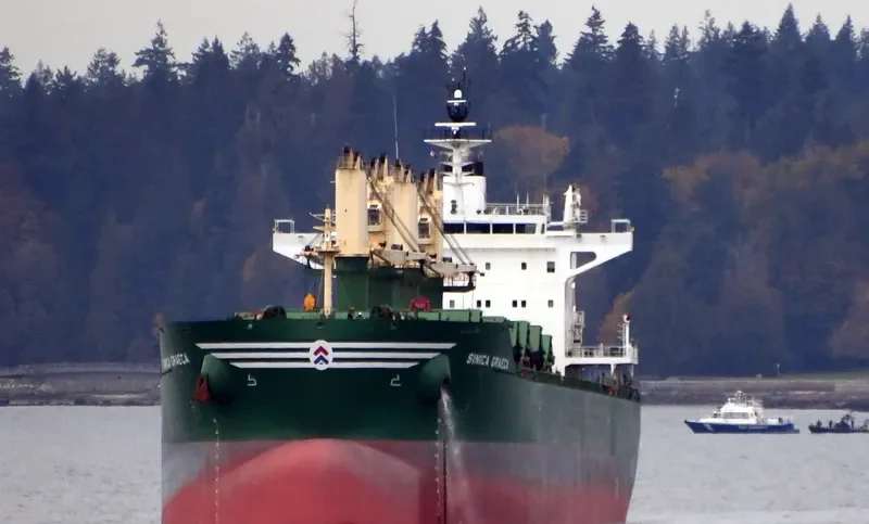 SINICA GRAECA Bulk Carrier IMO 9717486 photo 8