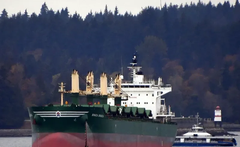 SINICA GRAECA Bulk Carrier IMO 9717486 photo 9
