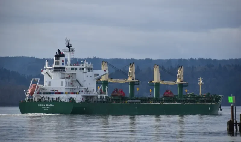 SINICA GRAECA Bulk Carrier IMO 9717486 photo 10