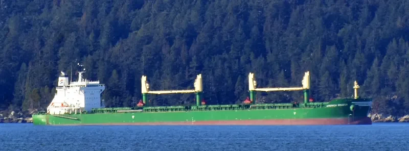 AMERICA GRAECA Bulk Carrier IMO 9717498