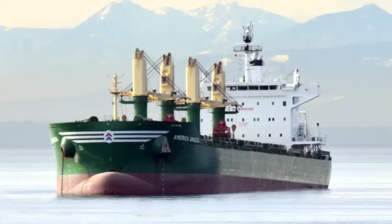 AMERICA GRAECA Bulk Carrier IMO 9717498 photo 4