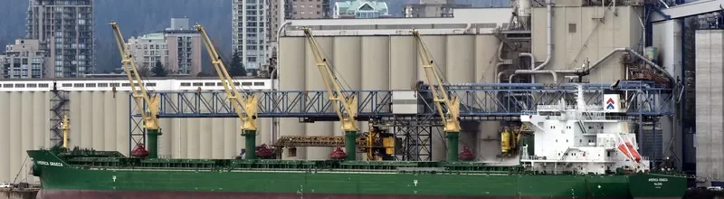 AMERICA GRAECA Bulk Carrier IMO 9717498 photo 5