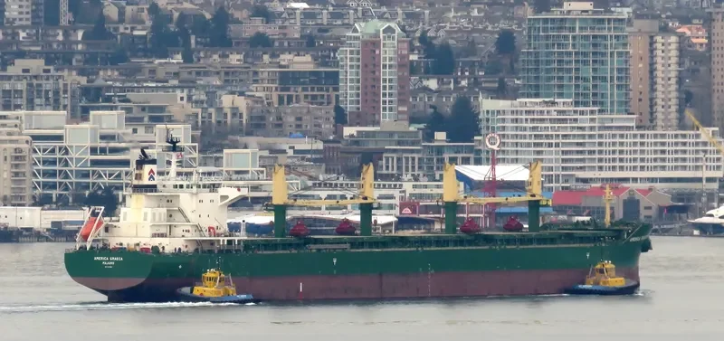 AMERICA GRAECA Bulk Carrier IMO 9717498 photo 6