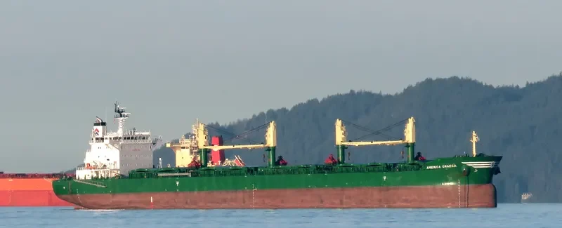AMERICA GRAECA Bulk Carrier IMO 9717498 photo 7