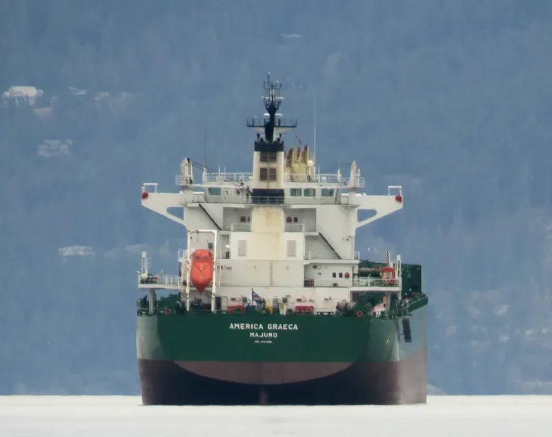 AMERICA GRAECA Bulk Carrier IMO 9717498 photo 8