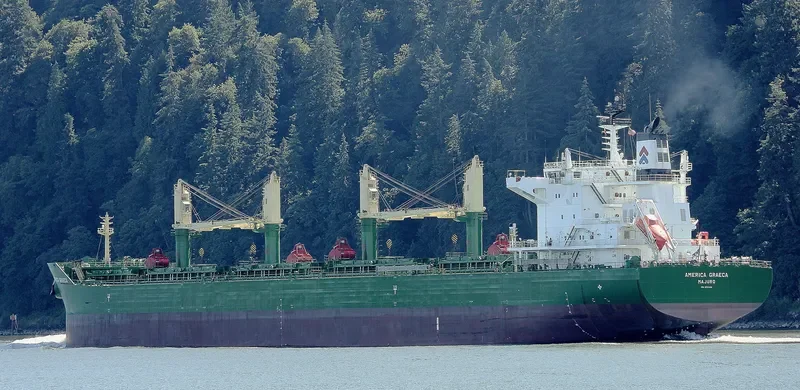 AMERICA GRAECA Bulk Carrier IMO 9717498 photo 9