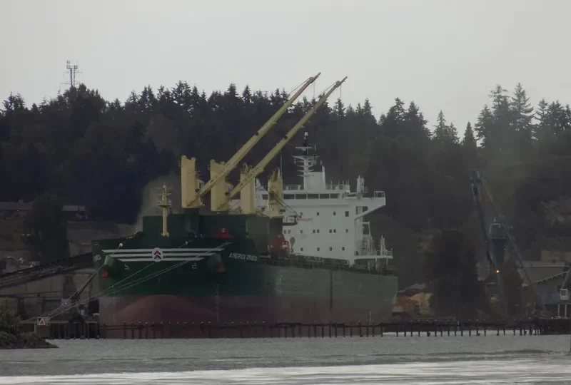AMERICA GRAECA Bulk Carrier IMO 9717498 photo 10