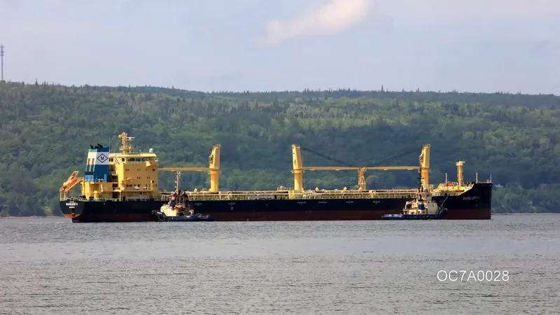 MARGUERITA Bulk Carrier IMO 9717515