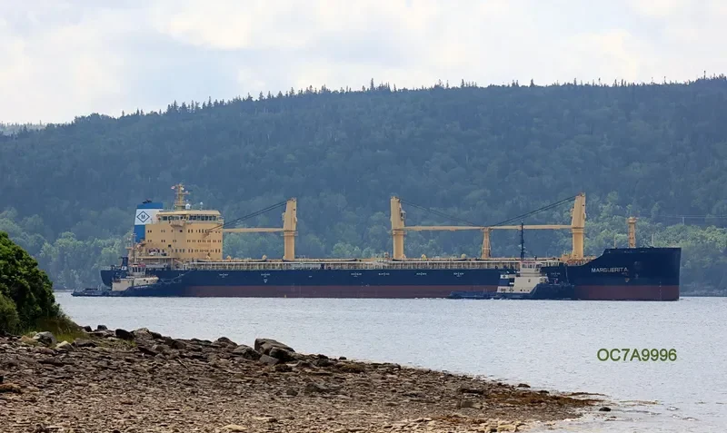 MARGUERITA Bulk Carrier IMO 9717515 photo 2
