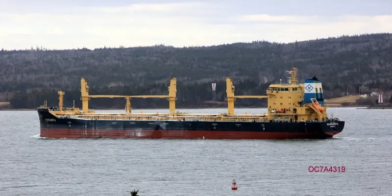 MARGUERITA Bulk Carrier IMO 9717515 photo 3