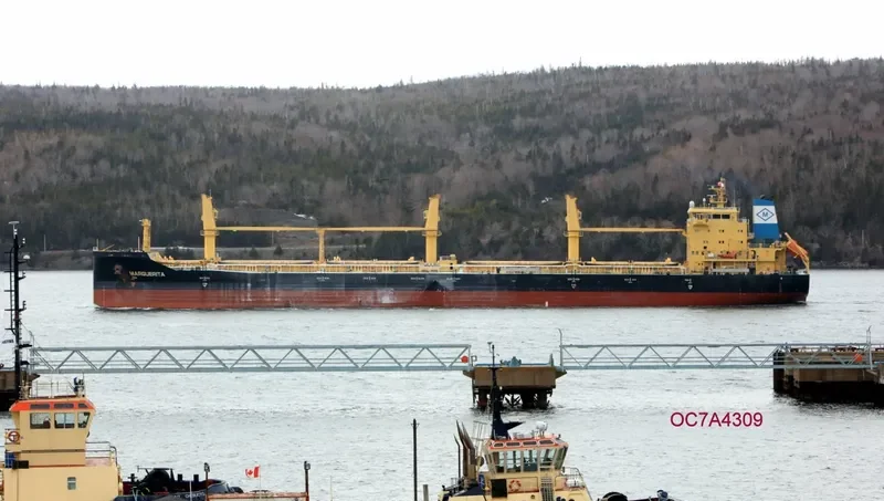 MARGUERITA Bulk Carrier IMO 9717515 photo 4