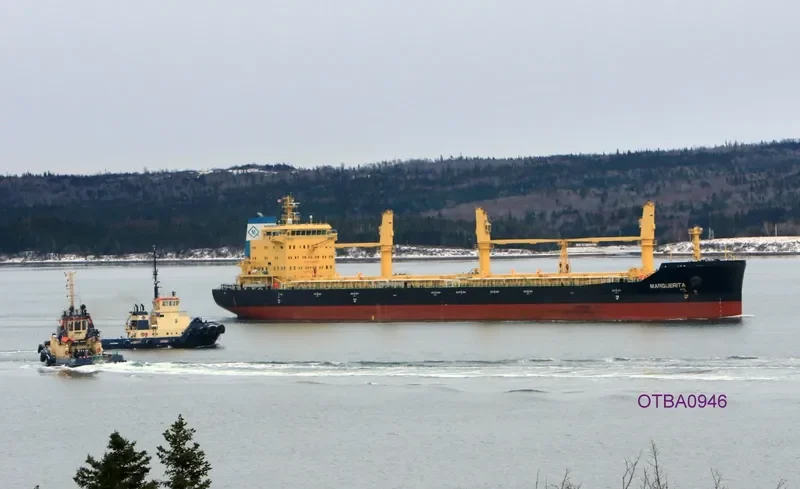 MARGUERITA Bulk Carrier IMO 9717515 photo 6