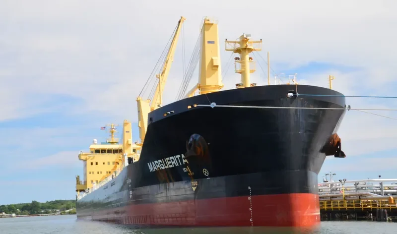MARGUERITA Bulk Carrier IMO 9717515 photo 8