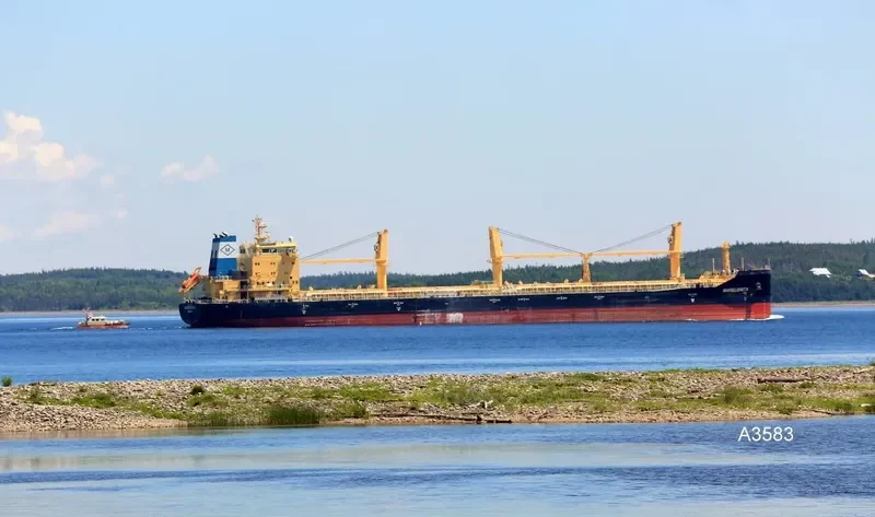 MARGUERITA Bulk Carrier IMO 9717515 photo 10