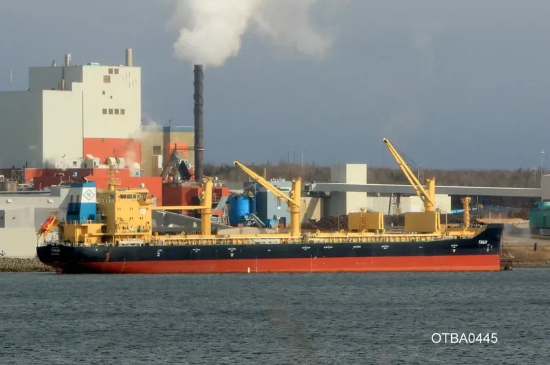 TANJA Bulk Carrier IMO 9717527